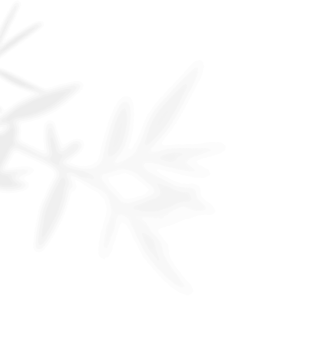 https://www.bridelymade.com/en/wp-content/uploads/2020/11/shadow_leaves_01-1.png