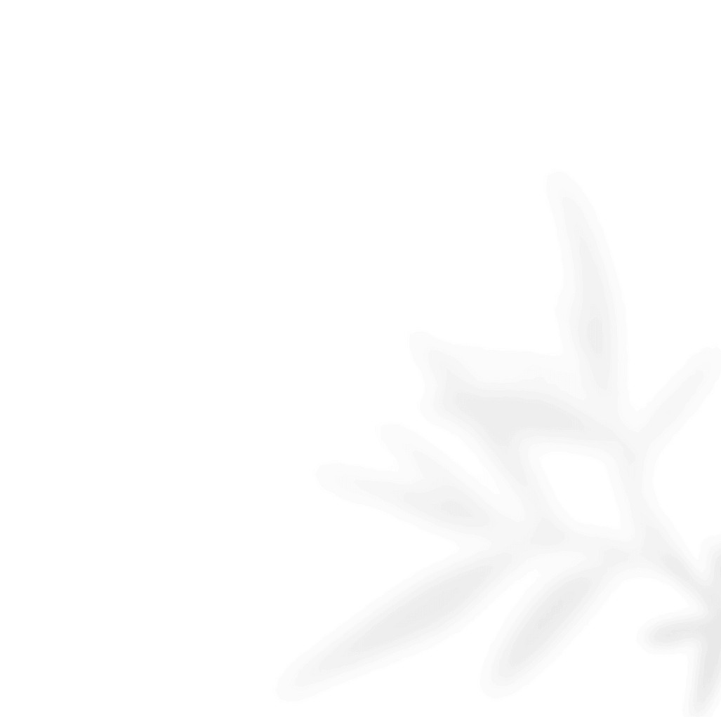 https://www.bridelymade.com/en/wp-content/uploads/2020/11/shadow_leaves_02-1.png