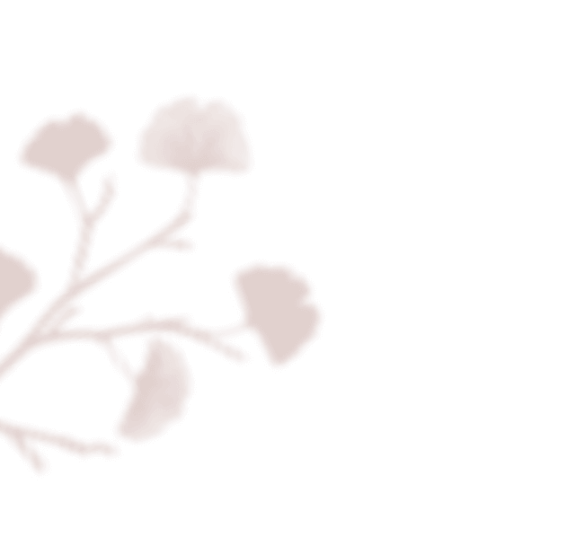 https://www.bridelymade.com/en/wp-content/uploads/2020/12/floating_image_01.png