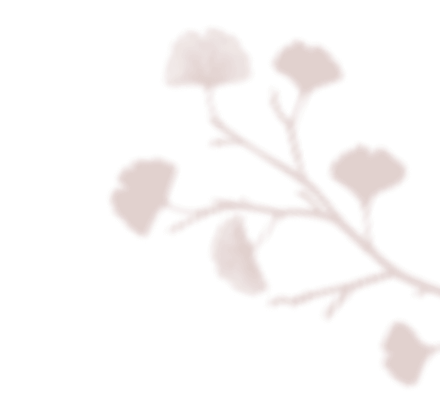 https://www.bridelymade.com/en/wp-content/uploads/2020/12/floating_image_02.png
