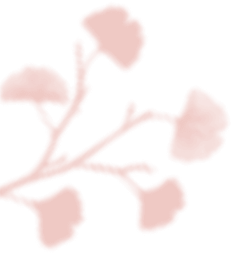 https://www.bridelymade.com/en/wp-content/uploads/2020/12/floating_image_03-1.png