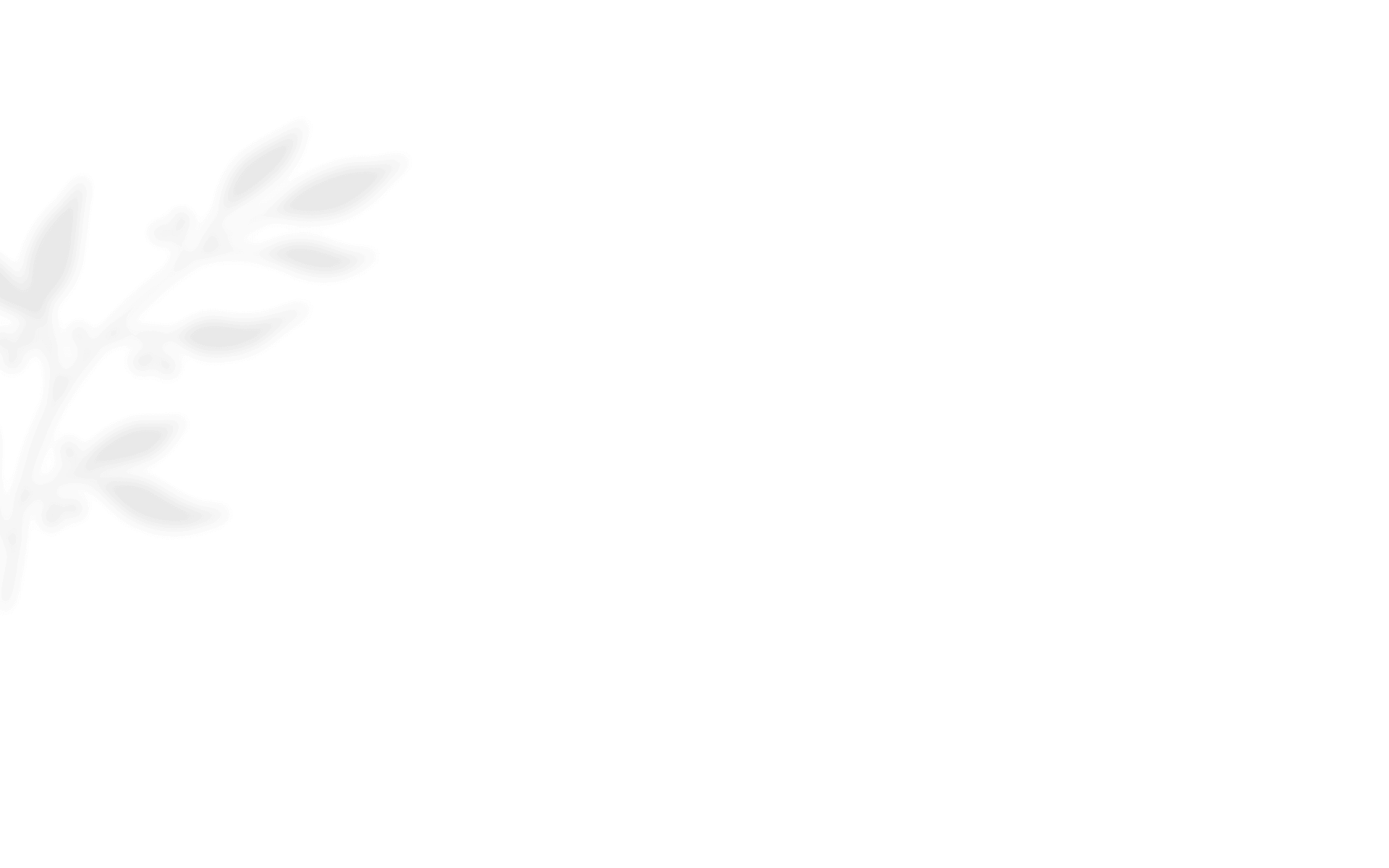 https://www.bridelymade.com/en/wp-content/uploads/2020/12/shadow_leaves_01.png