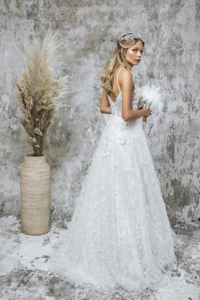 aurora 19 (2)