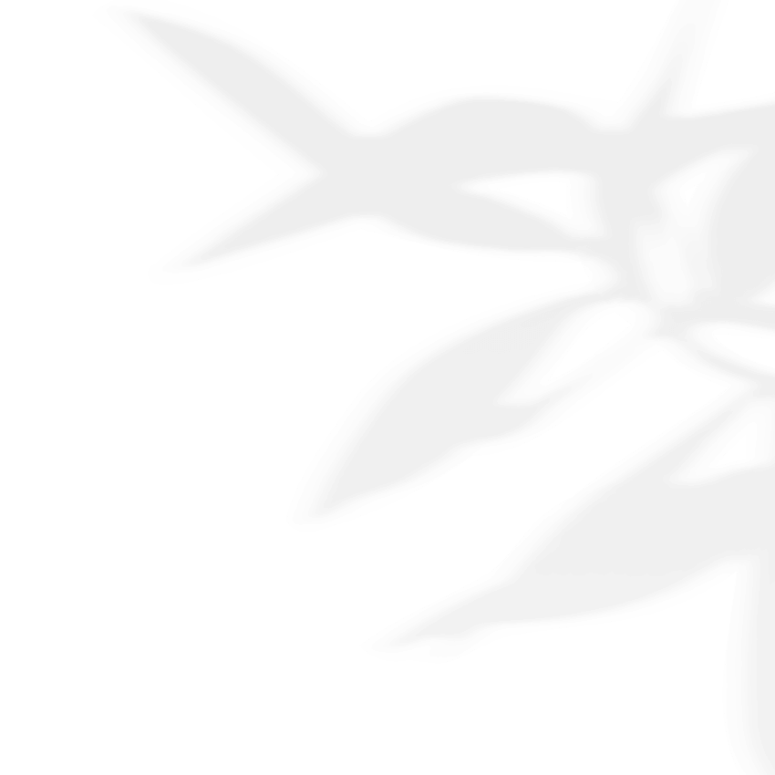 https://www.bridelymade.com/wp-content/uploads/2020/11/shadow_leaves_03.png