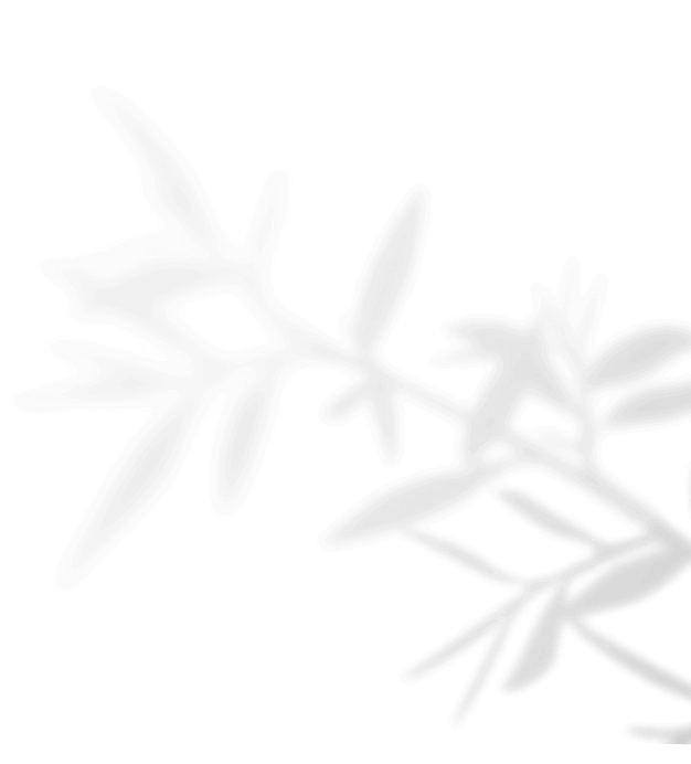 https://www.bridelymade.com/wp-content/uploads/2020/11/shadow_leaves_04.png